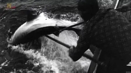 History Channel - The True Story Jaws (2012)