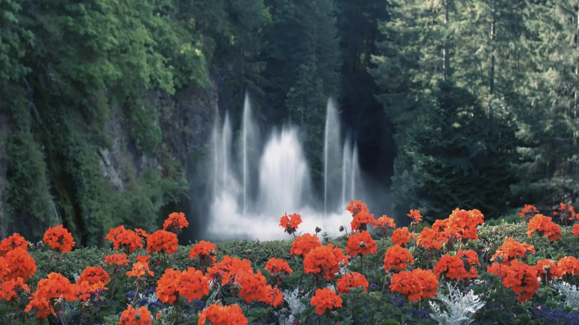 Красивая гиф видео. Водопад цветы. Водопад с цветами. Звучащая природа. Красивая природа и музыка.