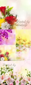 Stock Photo - Beautiful Flowers Cards