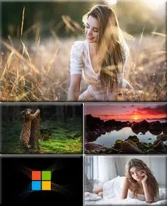 Computer Desktop Wallpapers Collection. Part (2639)
