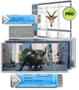 BS.Player PRO v2.52.1030