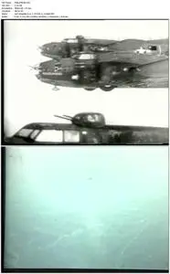 Avion Park - Gun Camera Action from World War Two (1998)