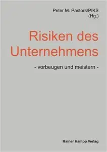 Risiken des Unternehmens, vorbeugen und meistern