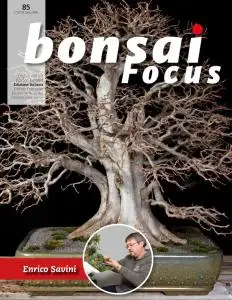 Bonsai Focus (Italian Edition) N.85 - Gennaio-Febbraio 2020