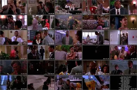 A Low Down Dirty Shame (1994)