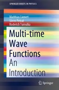 Multi-time Wave Functions: An Introduction