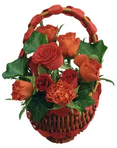 Baskets Flowers