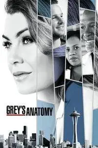 Grey's Anatomy S14E19