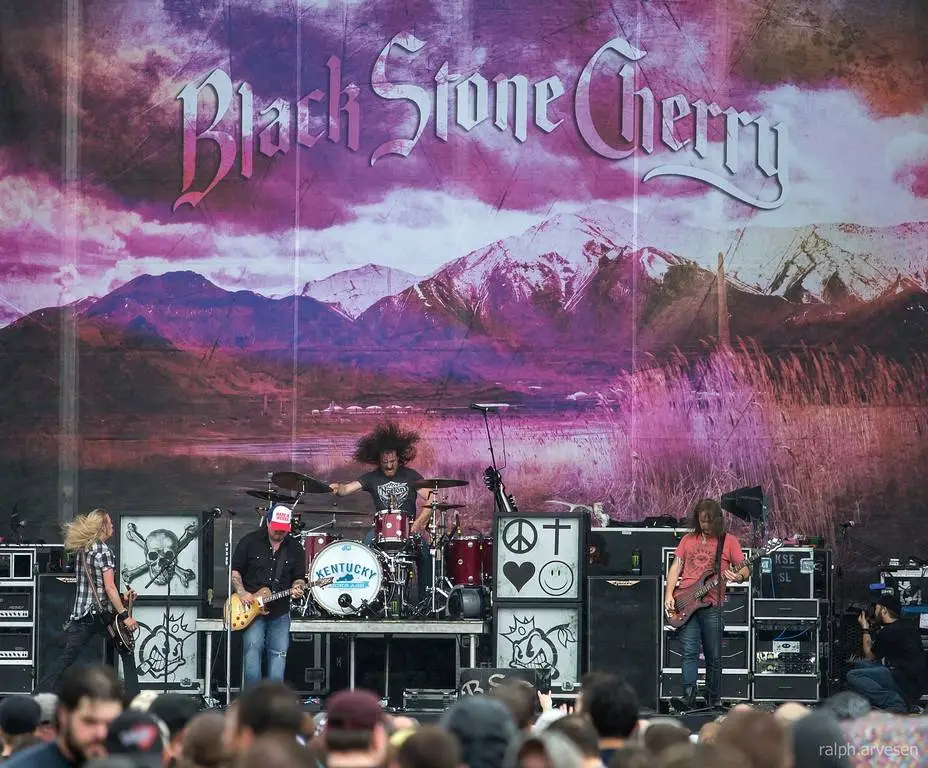 Black Stone Cherry - Magic Mountain (2014) / AvaxHome