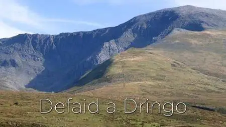 S4C - Defaid a Dringo (2013)