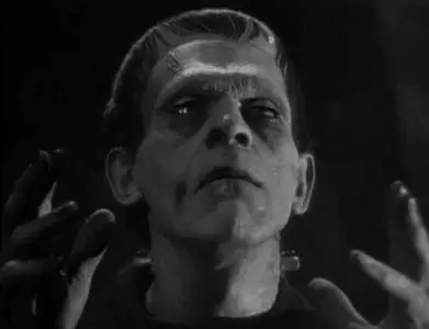 Frankenstein (1931)