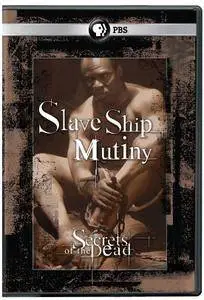 PBS Secrets of the Dead - Slave Ship Mutiny (2010)