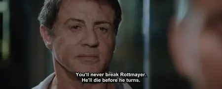 Escape Plan (2013)