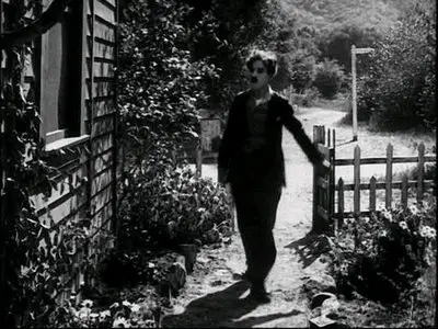 Charlie Chaplin: Short Films. Volume 3. (1916-1922)
