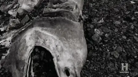 In Search Of S02E02