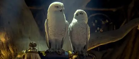 Legend of the Guardians - The Owls of Ga'Hoole (2010)