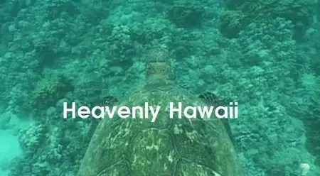Heavenly Hawaii (2015)