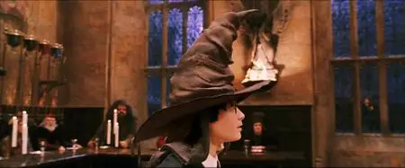 Harry Potter and the Philosopher's Stone (2001)