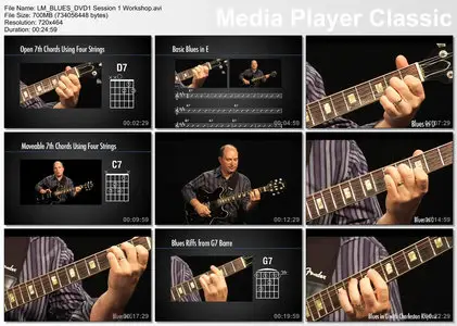 Learn and Master Blues Guitar with Steve Krenz (2010)