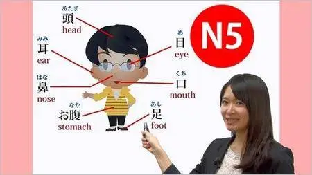 Online Japanese N5 Course (All 15 lessons)