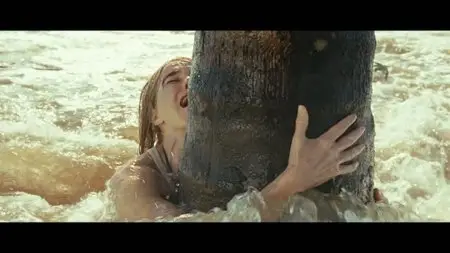 The Impossible (2012)
