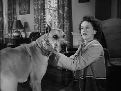 Come to the Stable (1949)