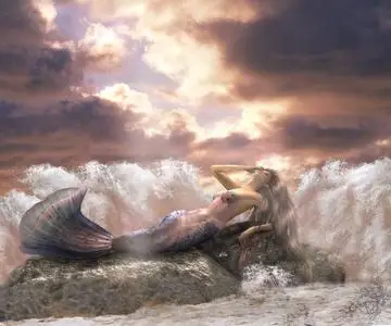 Art by Amanda Swartz