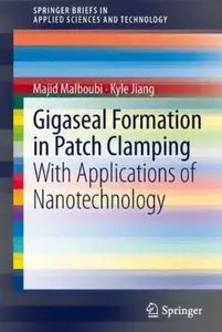 Gigaseal Formation in Patch Clamping: With Applications of Nanotechnology [Repost]