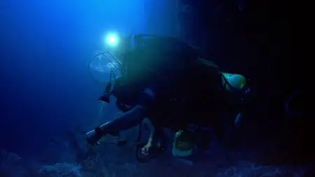 Coral Reef Adventure (2003)