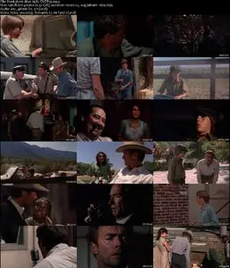 Honkytonk Man (1982)
