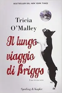 Tricia O'Malley - Il lungo viaggio di Briggs