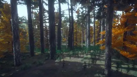 MÅRD (2019)