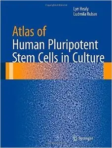Atlas of Human Pluripotent Stem Cells in Culture