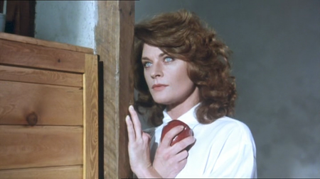 The Wind (1987)
