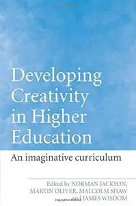 Developing Creativity in Higher Education: The Imaginative Curriculum