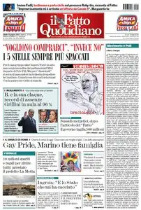 Il Fatto Quotidiano (15-06-13)