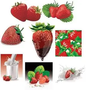 SS Strawberry Vectors