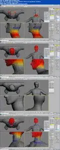 Skillfeed - Character Rigging with 3ds Max