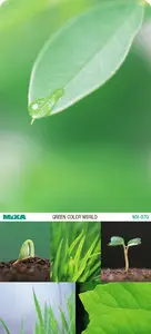 Mixa | MX-070 | Green Color World