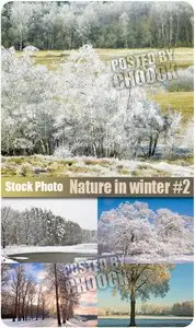 Stock Photo: Nature in winter #2