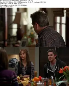 Brothers and Sisters S05E15