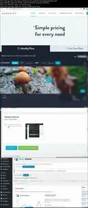 Wordpress Engagement Optimization