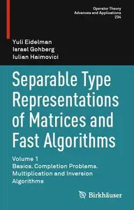 Separable Type Representations of Matrices and Fast Algorithms: Volume 1 Basics. Completion Problems