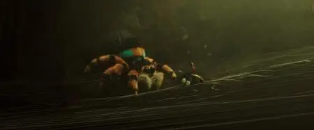 A Minuscule Adventure (2018)