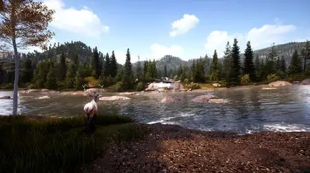 Hunting Simulator 2 A Rangers Life (2021)