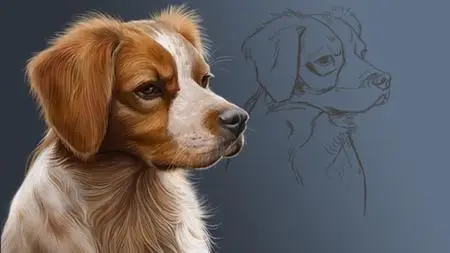 Digital Art : Painting A Pet Portrait