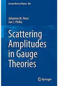 Scattering Amplitudes in Gauge Theories [Repost]