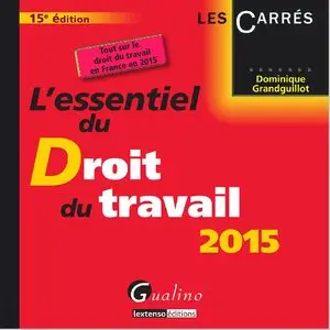 L'essentiel du droit du travail 2015