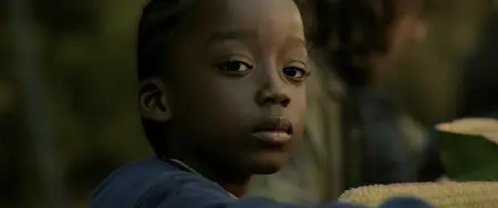40 Acres (2024)