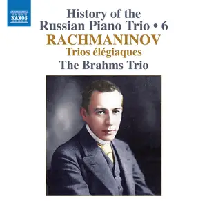 Brahms Trio - History of the Russian Piano Trio, Vol. 6 (2025) [Official Digital Download 24/96]
